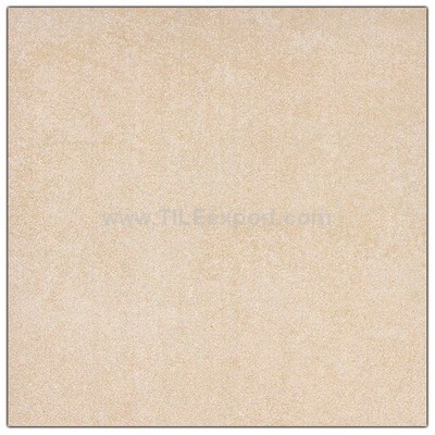 Floor_Tile--Porcelain_Tile,600X600mm[SS],66010